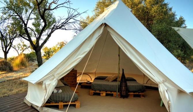 Shauri Glamping