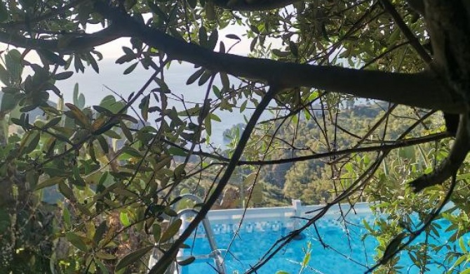Casa Il Faro villa con piscina