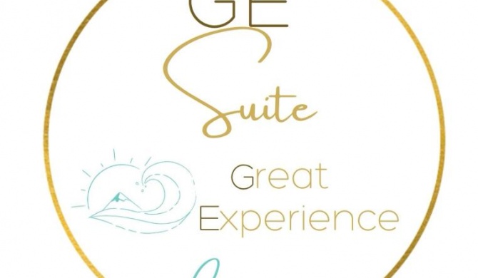 GE Suite