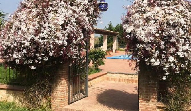 Studio with shared pool and wifi at Grammichele