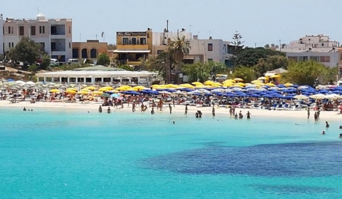 Lampedusa tre stella marina