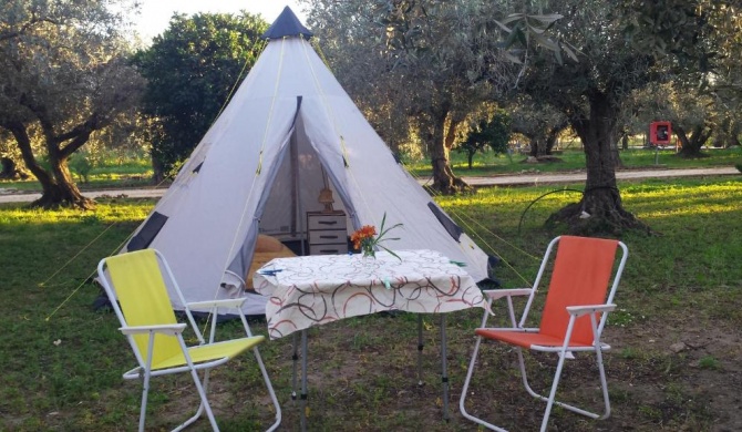 camping a selinunte (Relax fra gli ulivi)
