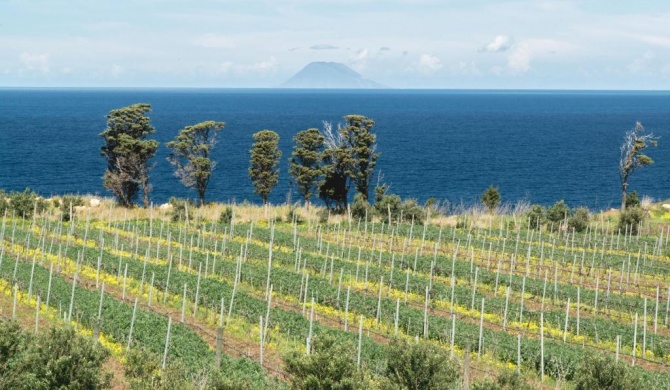 Tenuta Rasocolmo